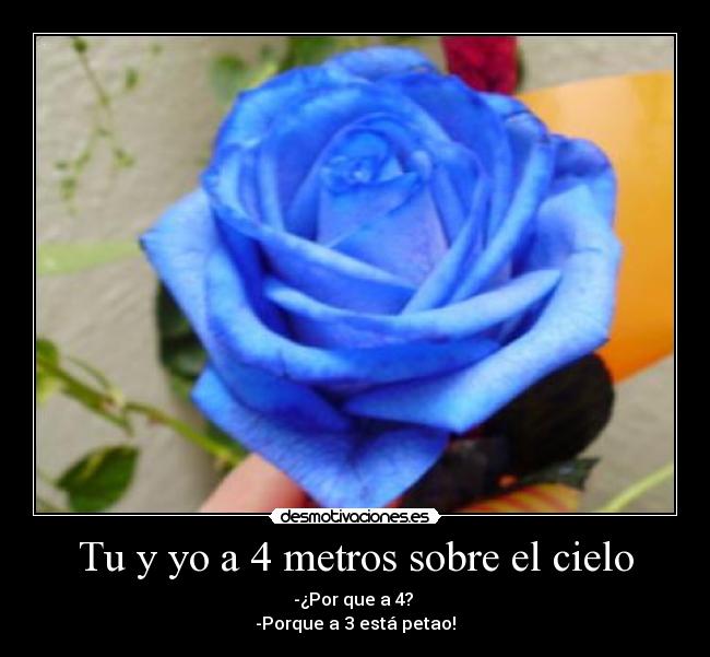 Tu y yo a 4 metros sobre el cielo -