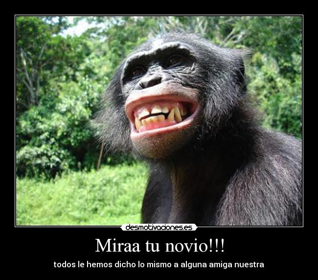 Miraa tu novio!!! -