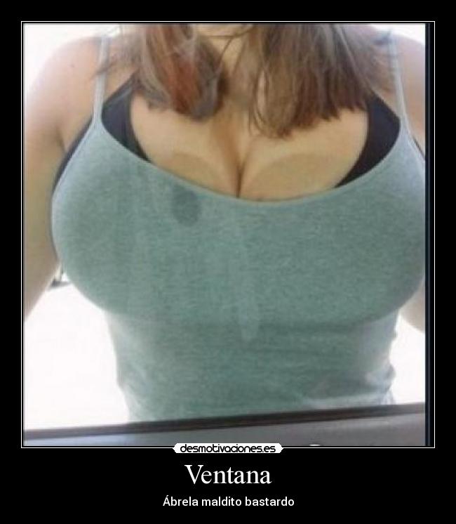 Ventana - Ábrela maldito bastardo