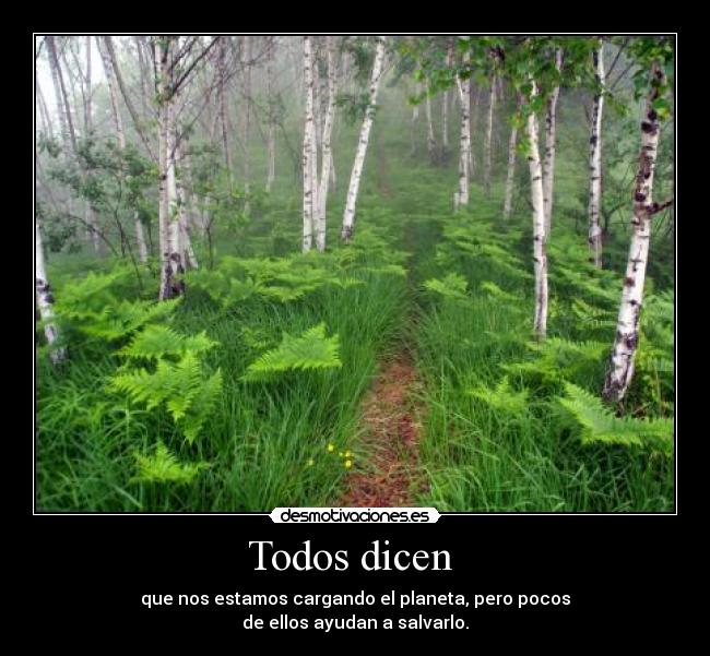 Todos dicen -
