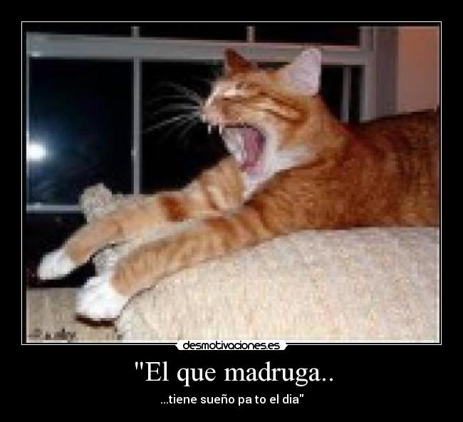 El que madruga.. -