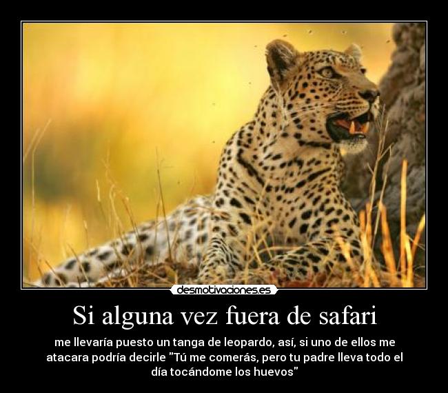 Si alguna vez fuera de safari - me llevaría puesto un tanga de leopardo, así, si uno de ellos me
atacara podría decirle Tú me comerás, pero tu padre lleva todo el
día tocándome los huevos