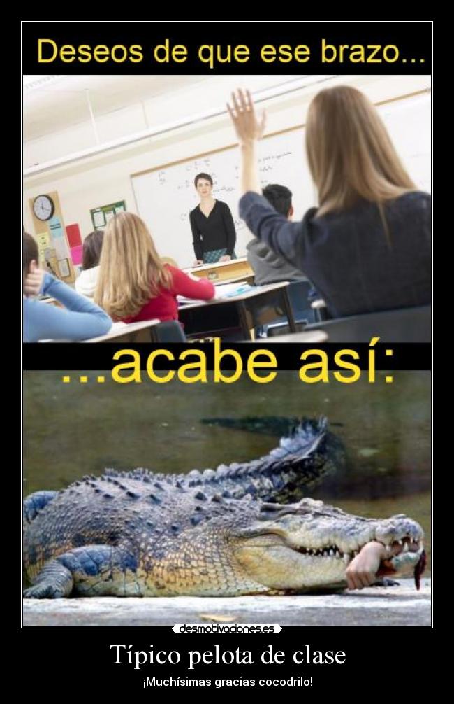 Típico pelota de clase - ¡Muchísimas gracias cocodrilo!