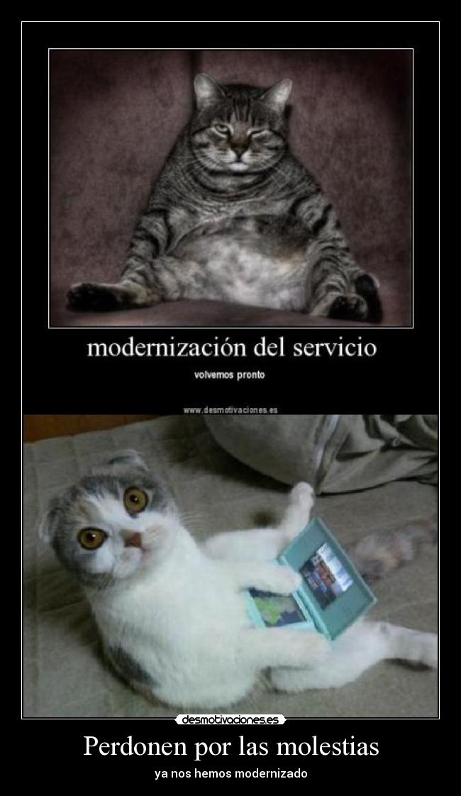 Perdonen por las molestias - 