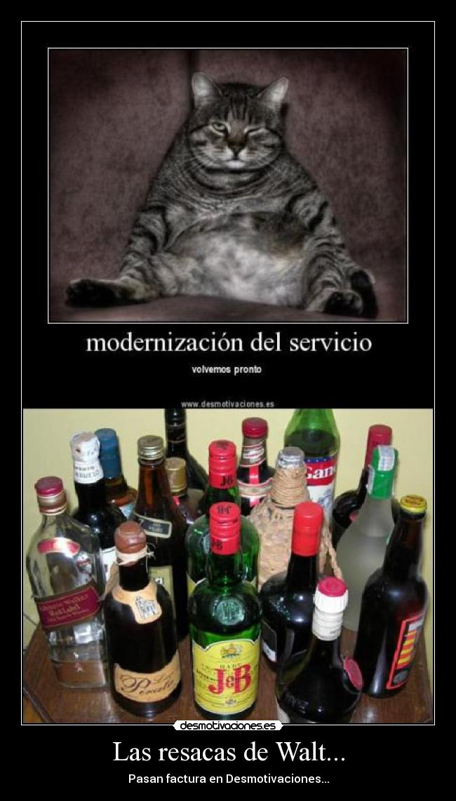 Las resacas de Walt... -