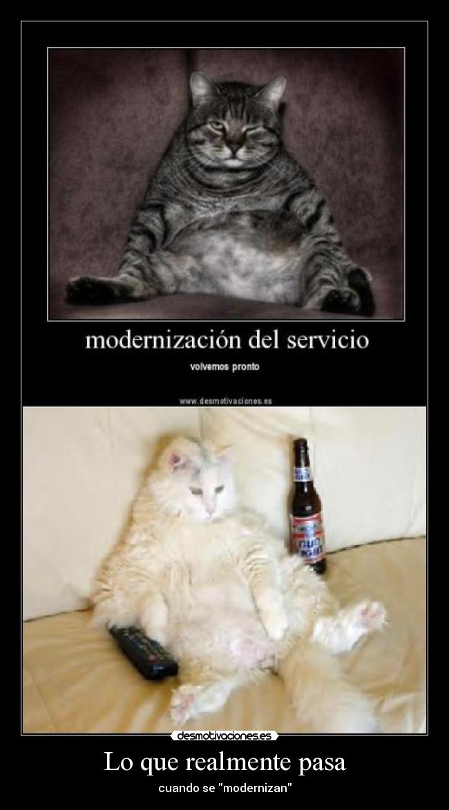 Lo que realmente pasa -