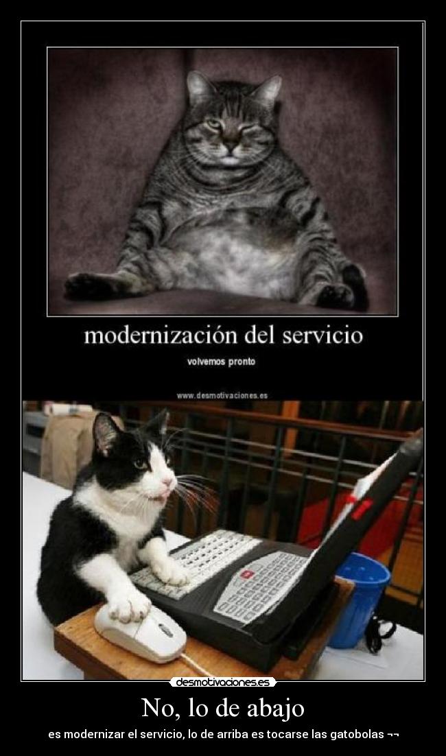 No, lo de abajo - es modernizar el servicio, lo de arriba es tocarse las gatobolas ¬¬