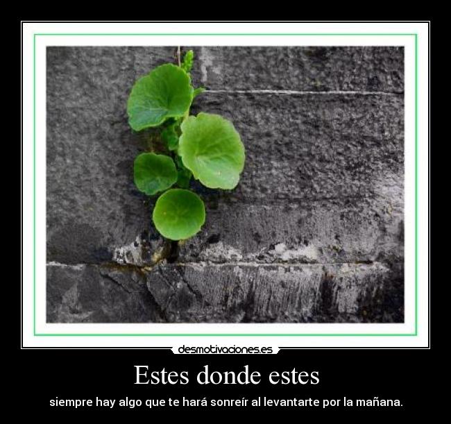 Estes donde estes - siempre hay algo que te hará sonreír al levantarte por la mañana.