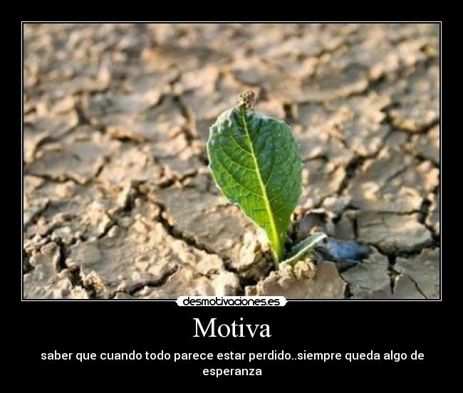 Motiva - saber que cuando todo parece estar perdido..siempre queda algo de esperanza