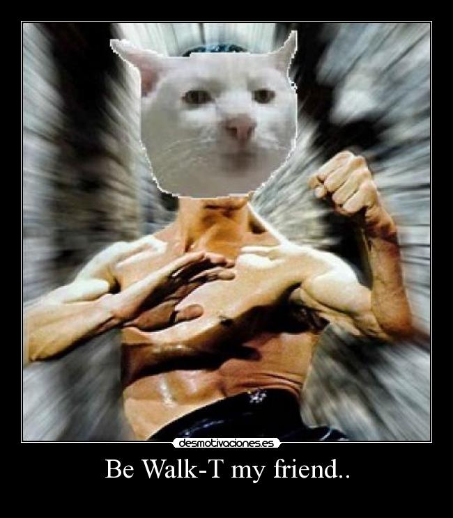 Be Walk-T my friend.. -