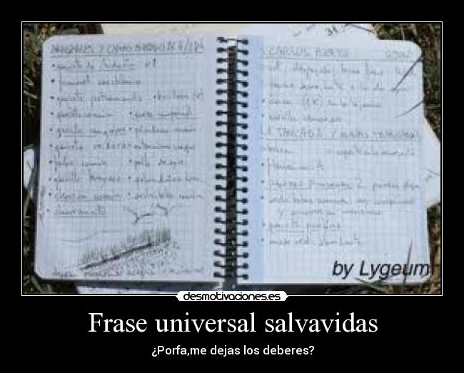 Frase universal salvavidas - ¿Porfa,me dejas los deberes?