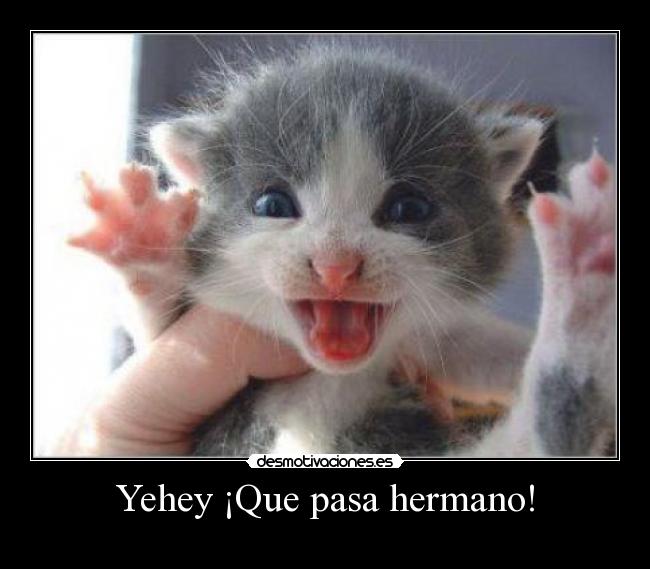 Yehey ¡Que pasa hermano! - 