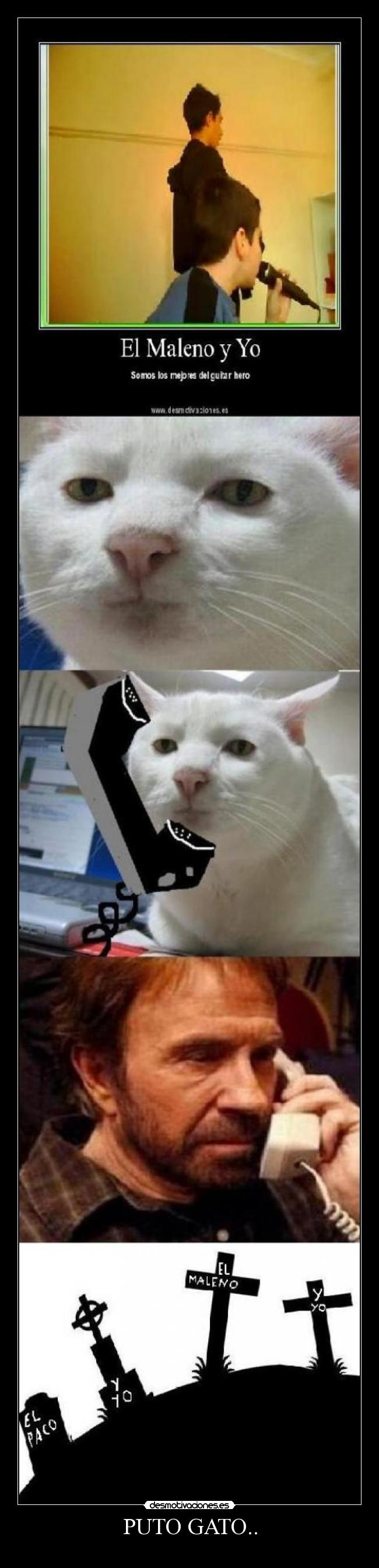 PUTO GATO.. -