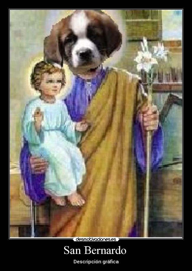 carteles peroo desmotivaciones