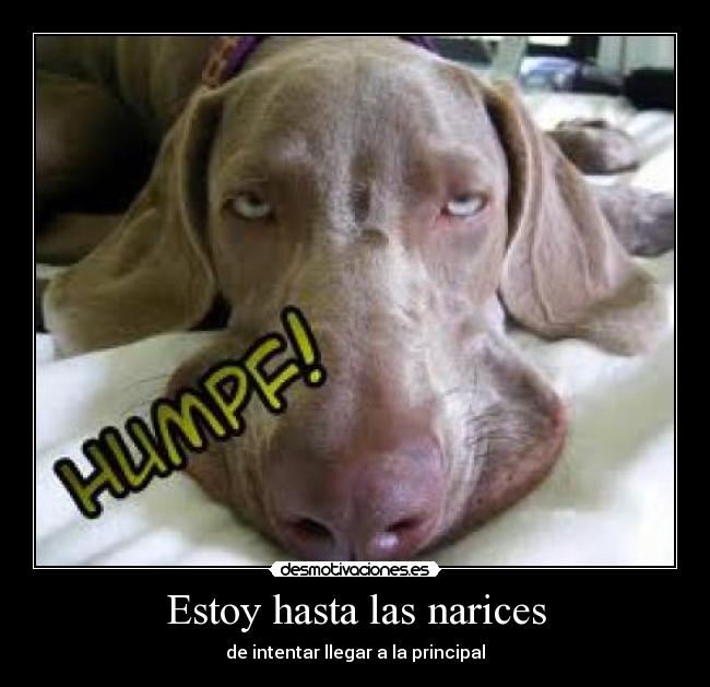 Estoy hasta las narices - de intentar llegar a la principal