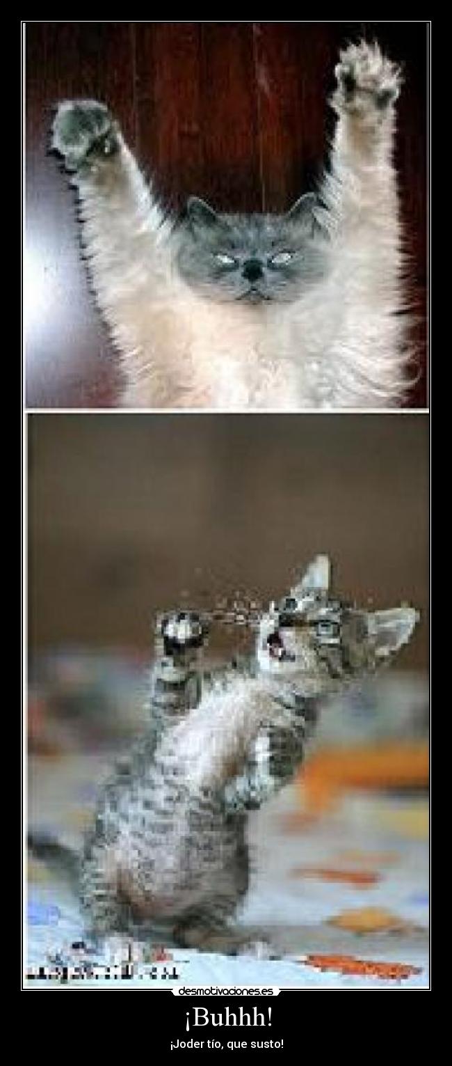 ¡Buhhh! -