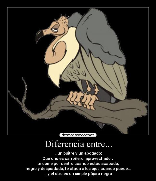 Diferencia entre... - ...un buitre y un abogado:
Que uno es carroñero, aprovechador, 
te come por dentro cuando estás acabado,
negro y despiadado, te ataca a los ojos cuando puede...
...y el otro es un simple pájaro negro