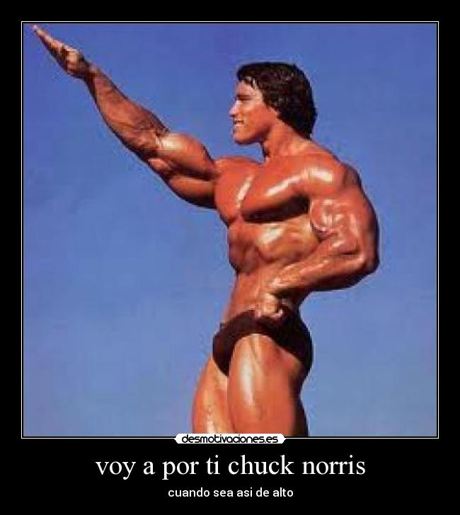 voy a por ti chuck norris - cuando sea asi de alto