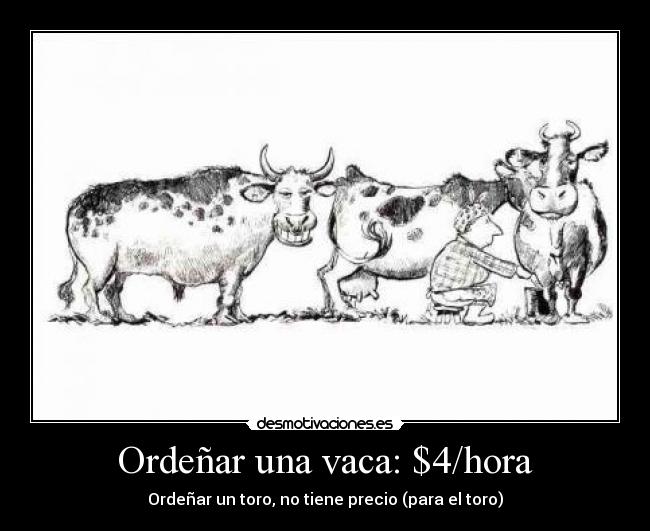 Ordeñar una vaca: $4/hora - Ordeñar un toro, no tiene precio (para el toro)