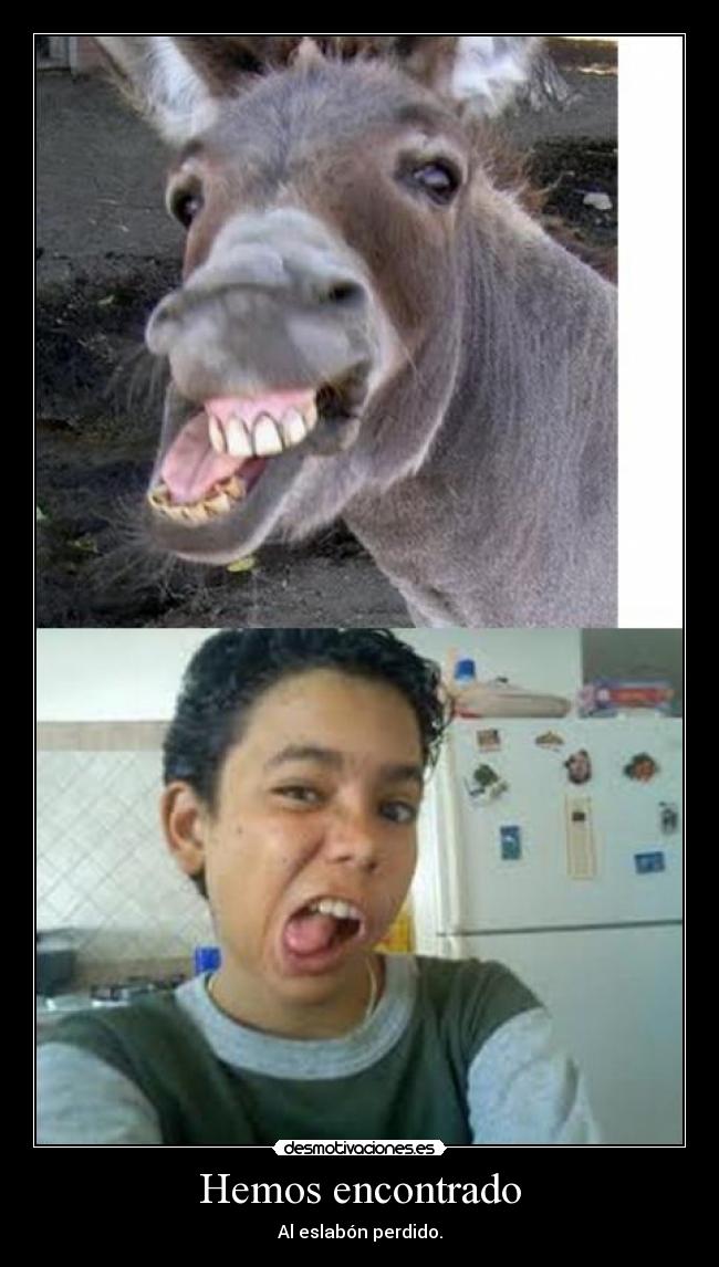 Hemos encontrado - 