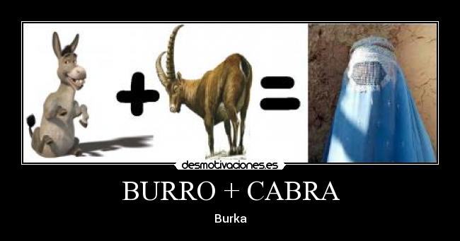 BURRO + CABRA - Burka
