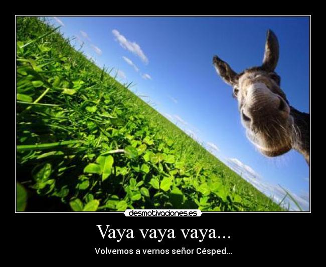 Vaya vaya vaya... - 