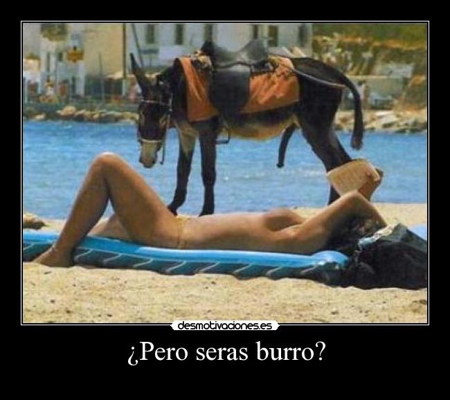 ¿Pero seras burro? -