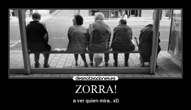 ZORRA! -