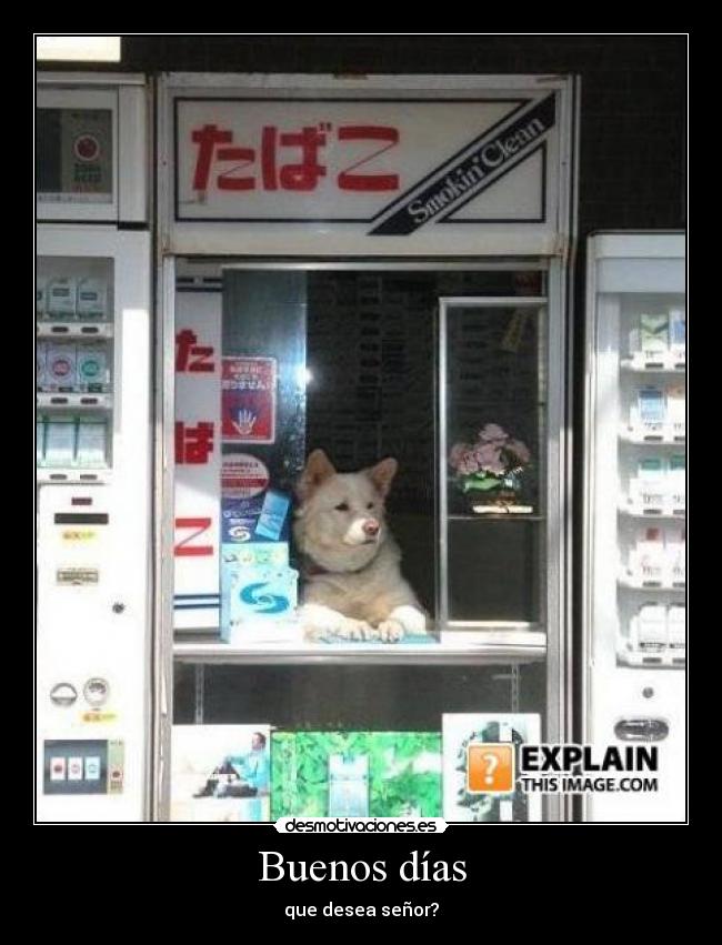 Buenos días -