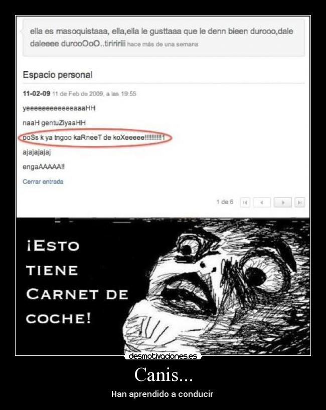 Canis... - Han aprendido a conducir