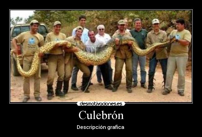 Culebrón - 