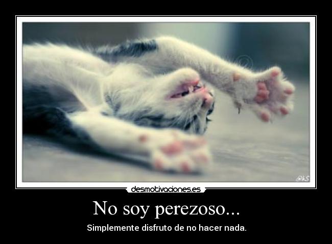 No soy perezoso... - Simplemente disfruto de no hacer nada.