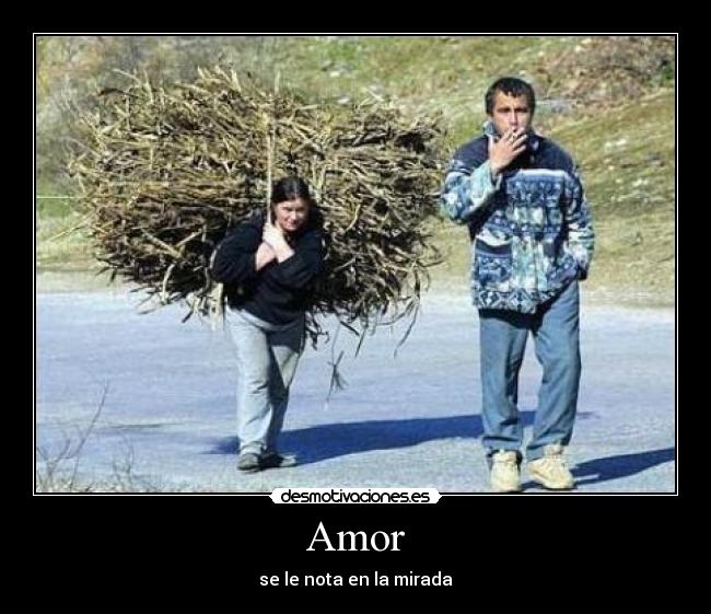 Amor -