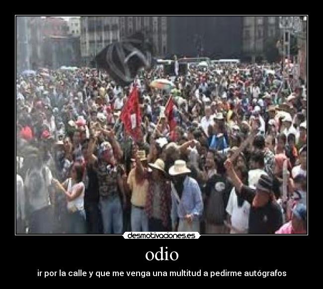 odio - 