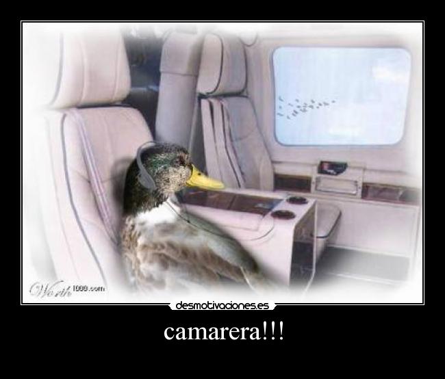 camarera!!! -