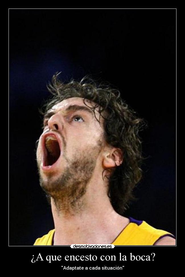 carteles pau desmotivaciones