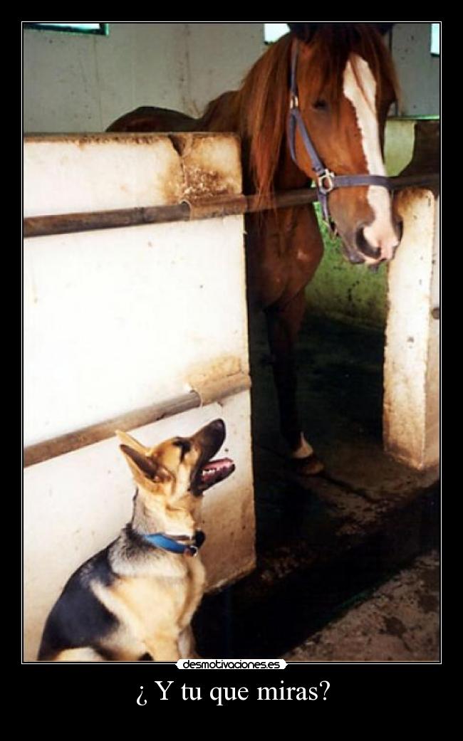 ¿ Y tu que miras? -