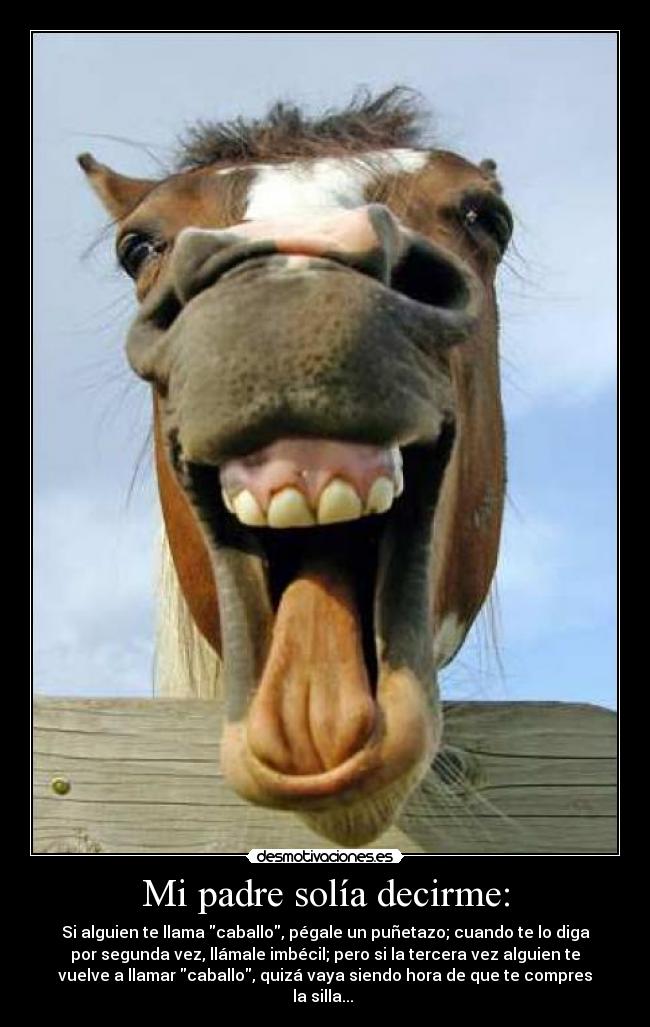 Mi padre solía decirme: - Si alguien te llama caballo, pégale un puñetazo; cuando te lo diga
por segunda vez, llámale imbécil; pero si la tercera vez alguien te
vuelve a llamar caballo, quizá vaya siendo hora de que te compres
la silla...