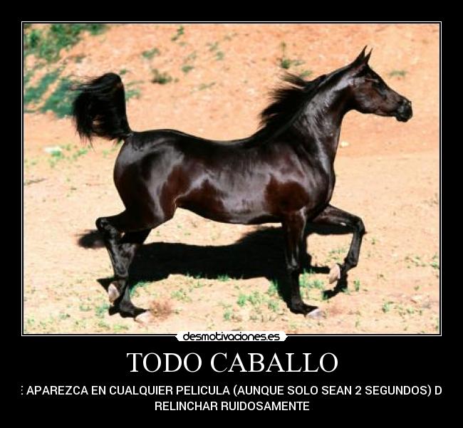 TODO CABALLO - QUE APAREZCA EN CUALQUIER PELICULA (AUNQUE SOLO SEAN 2 SEGUNDOS) DEBE
RELINCHAR RUIDOSAMENTE