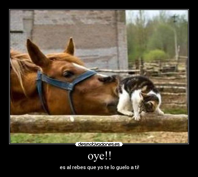 carteles ansaru desmotivaciones