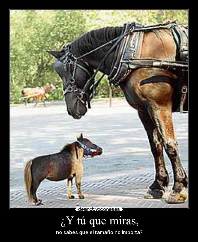 ¿Y tú que miras, - no sabes que el tamaño no importa?