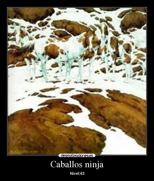 Caballos ninja -
