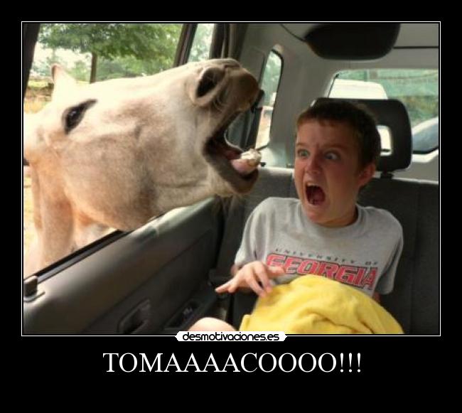 TOMAAAACOOOO!!! -