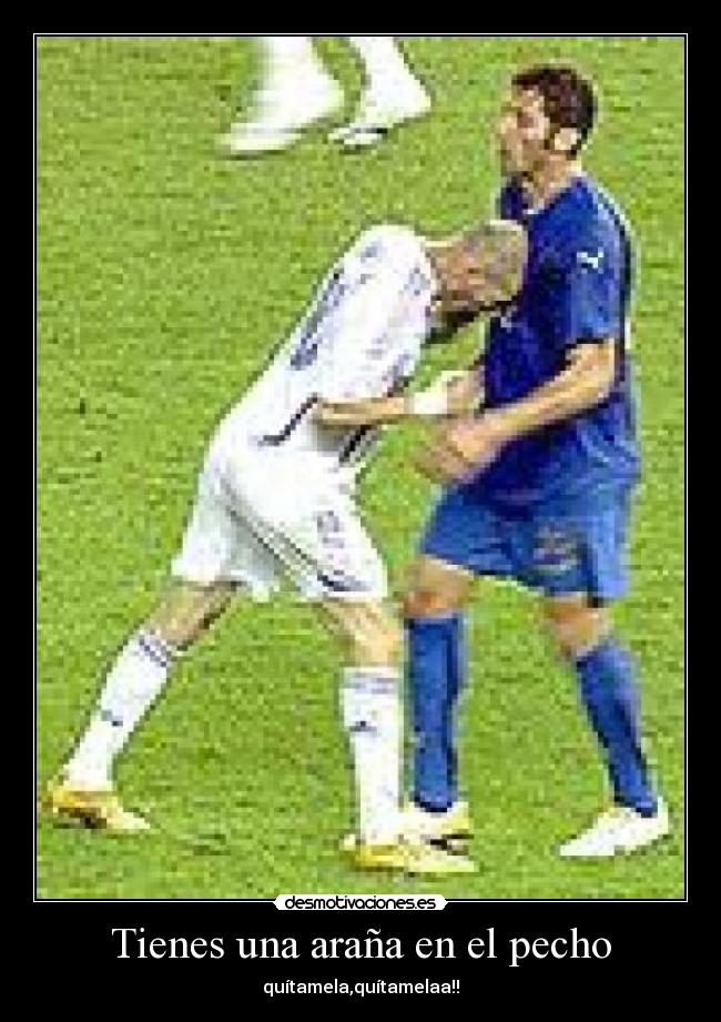 Tienes una araña en el pecho - 