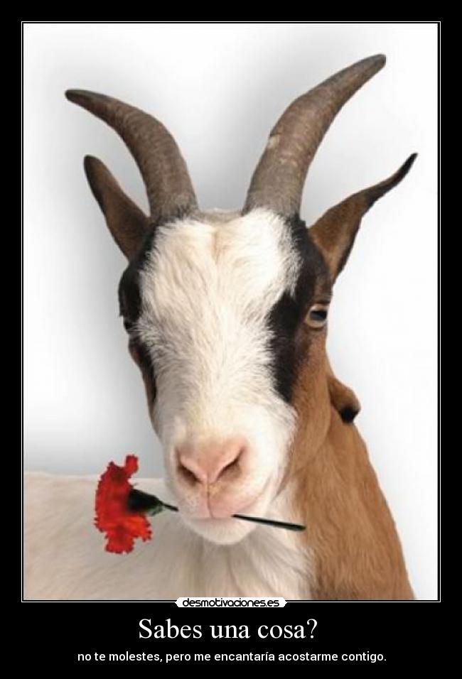 Sabes una cosa? - no te molestes, pero me encantaría acostarme contigo.