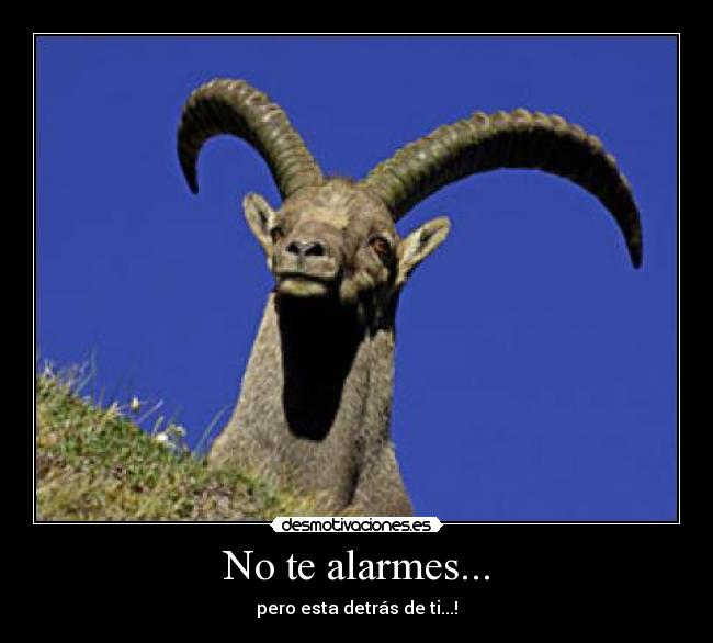 No te alarmes... - pero esta detrás de ti...!