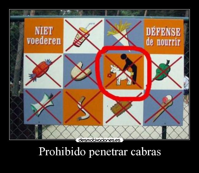 Prohibido penetrar cabras - 