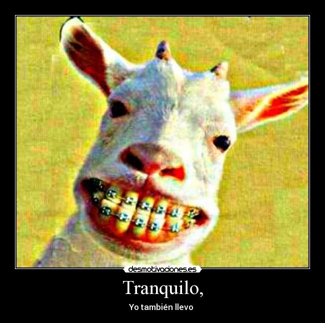 Tranquilo, - Yo también llevo