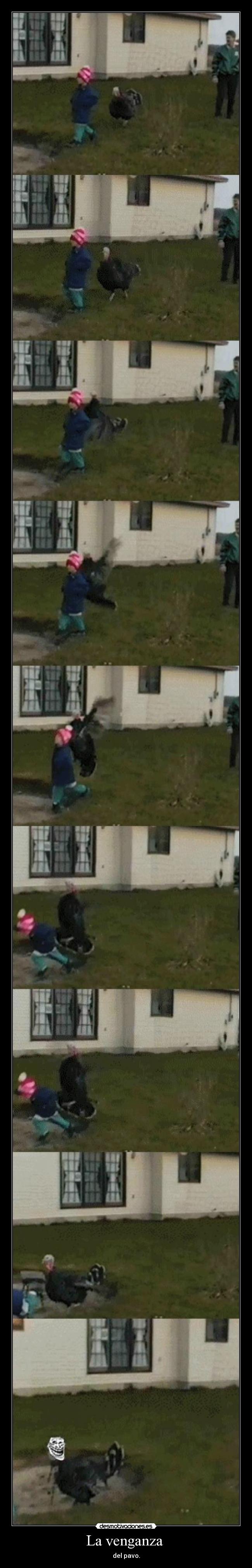 La venganza - del pavo.