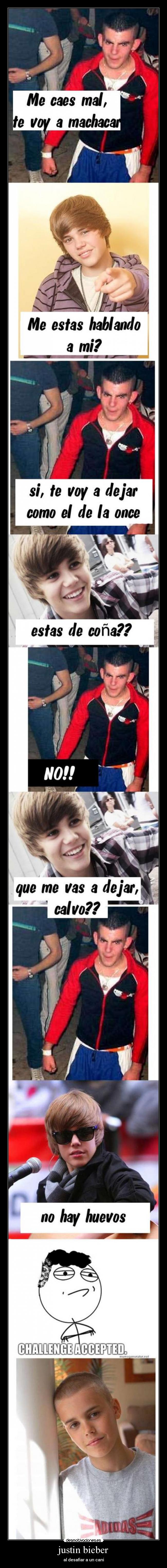 carteles justin bieber desmotivaciones
